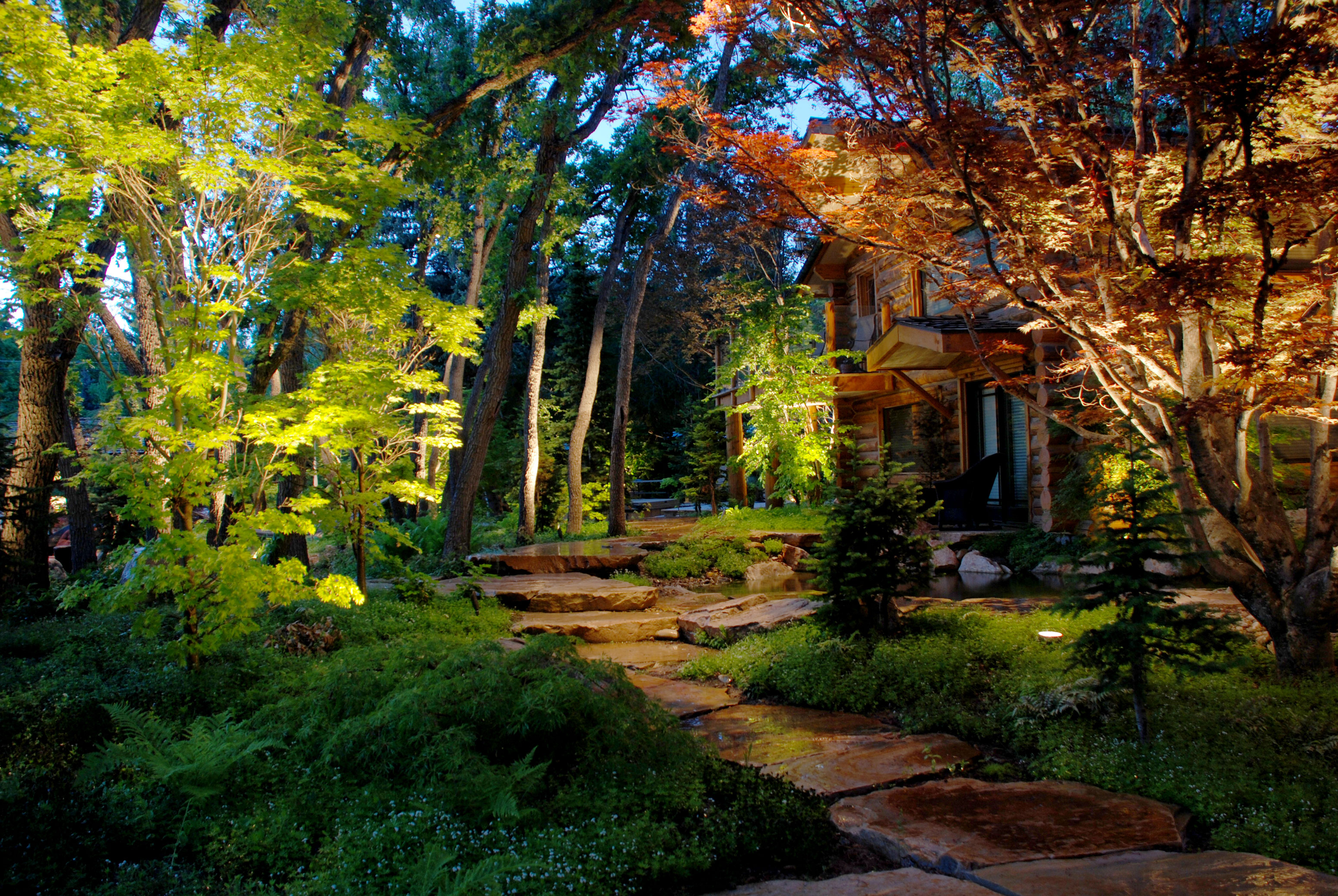 landscape lighting night portfolio vision